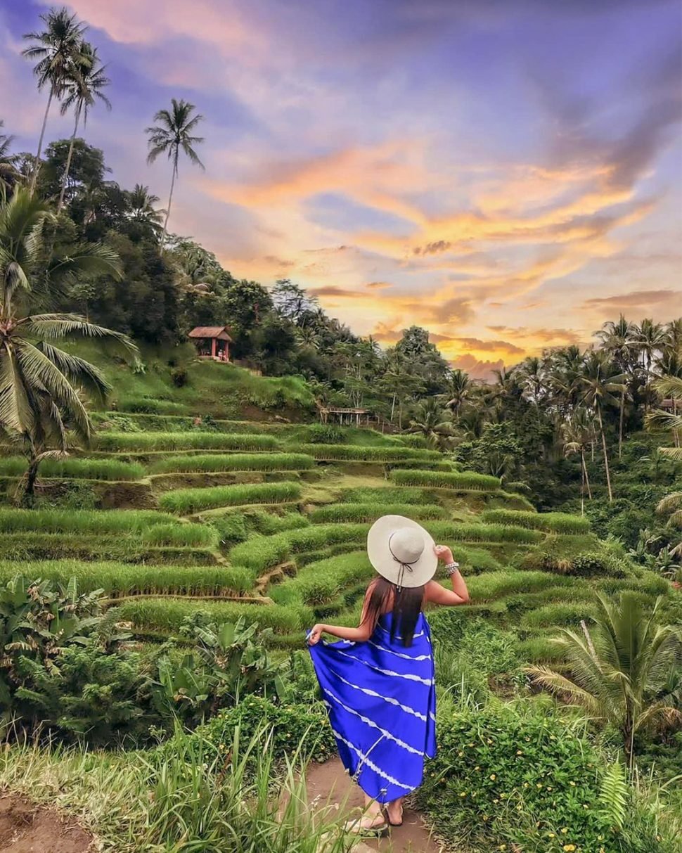 tegalalang rice field bali