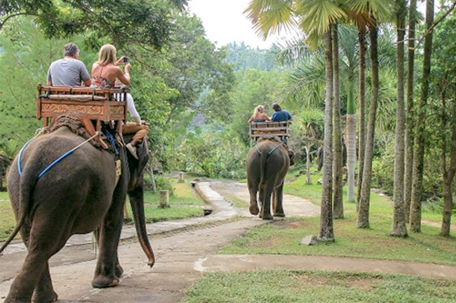 elephant ride bali safari