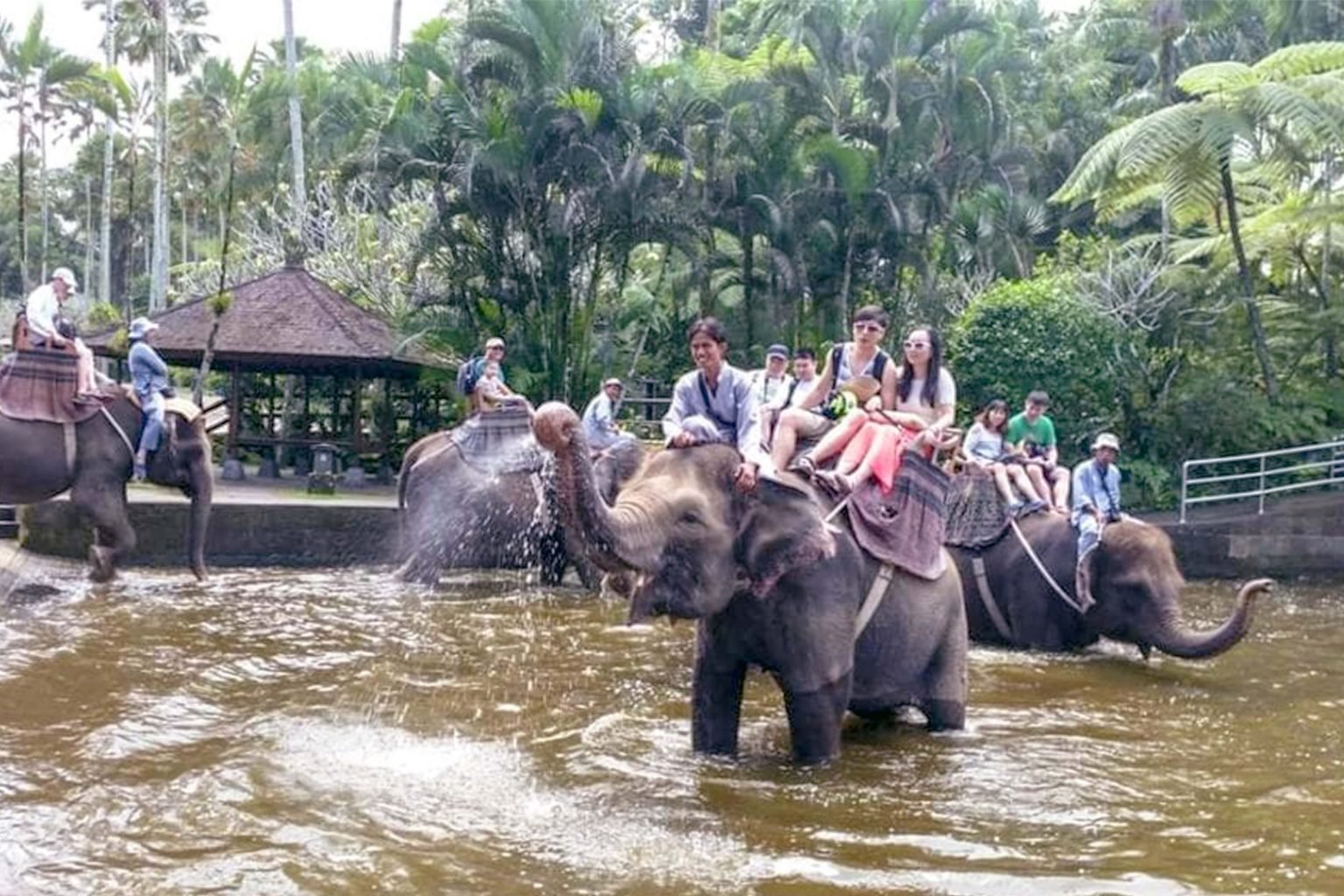 Elephant Ride Bali - Experience Bali with the Best Tour Packages from