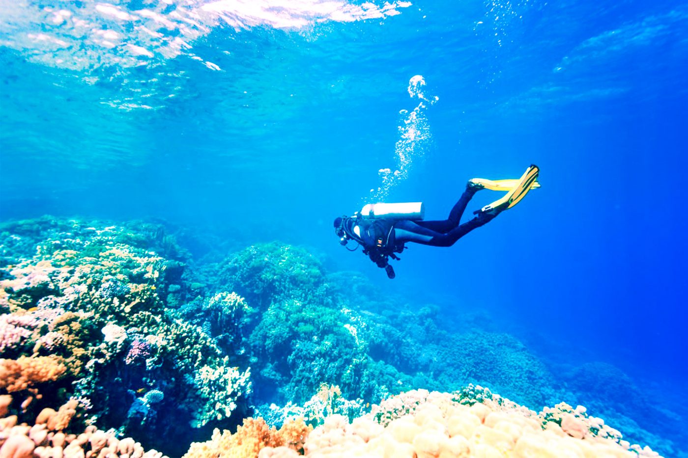 diving package tour