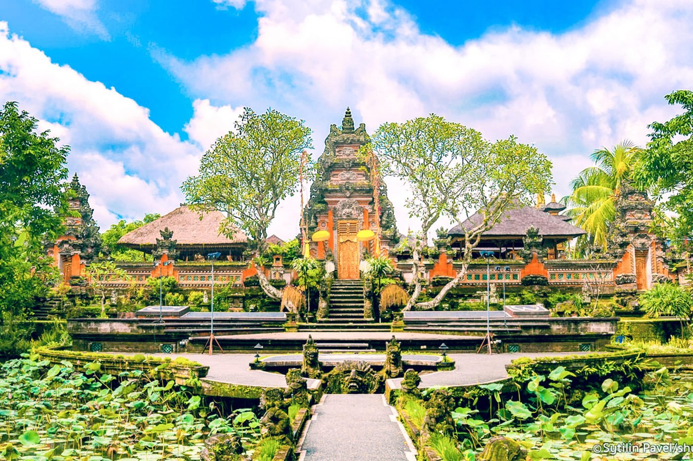 Ubud Half Day Bali  Tour  Bali  Tour  Package Bali  Trip 