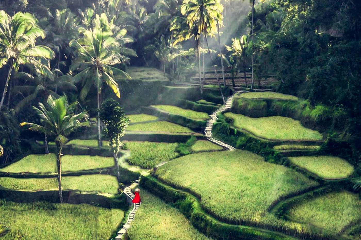 Are You Preparing A Holiday Trip To Bali? Check Out These Three