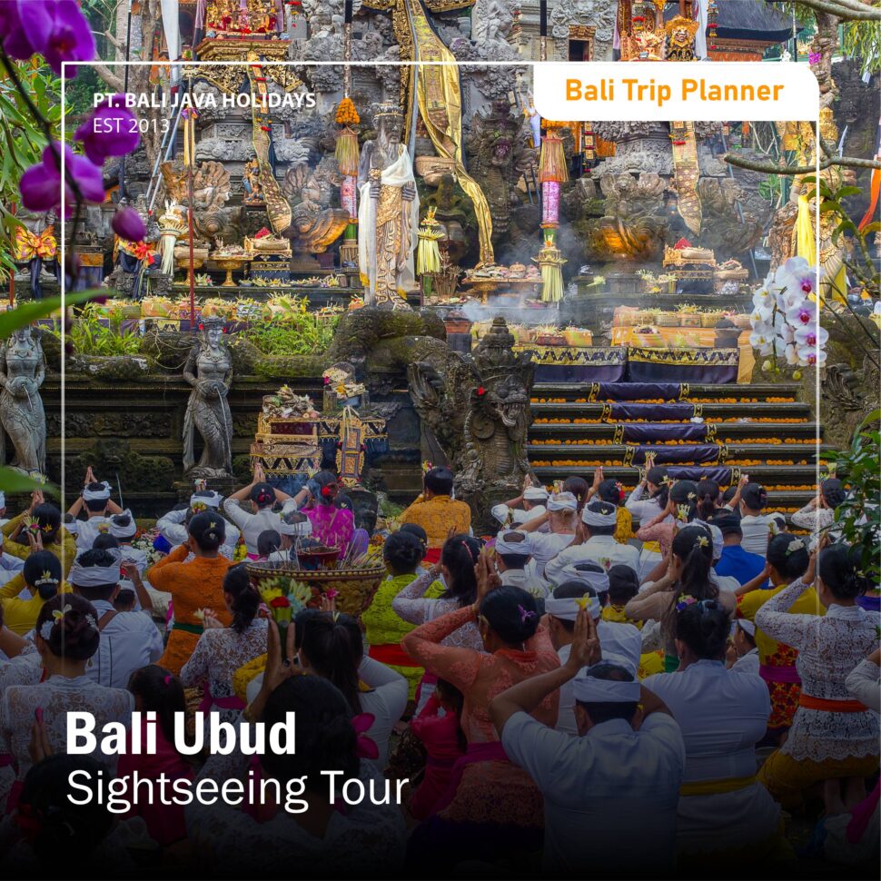 Ubud Bali Sightseeing Tour