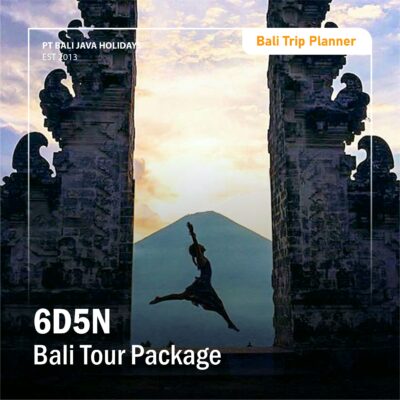 6D5N Bali Tour Package