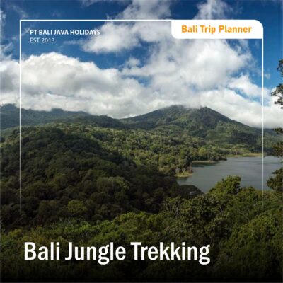 Bali Jungle Trekking
