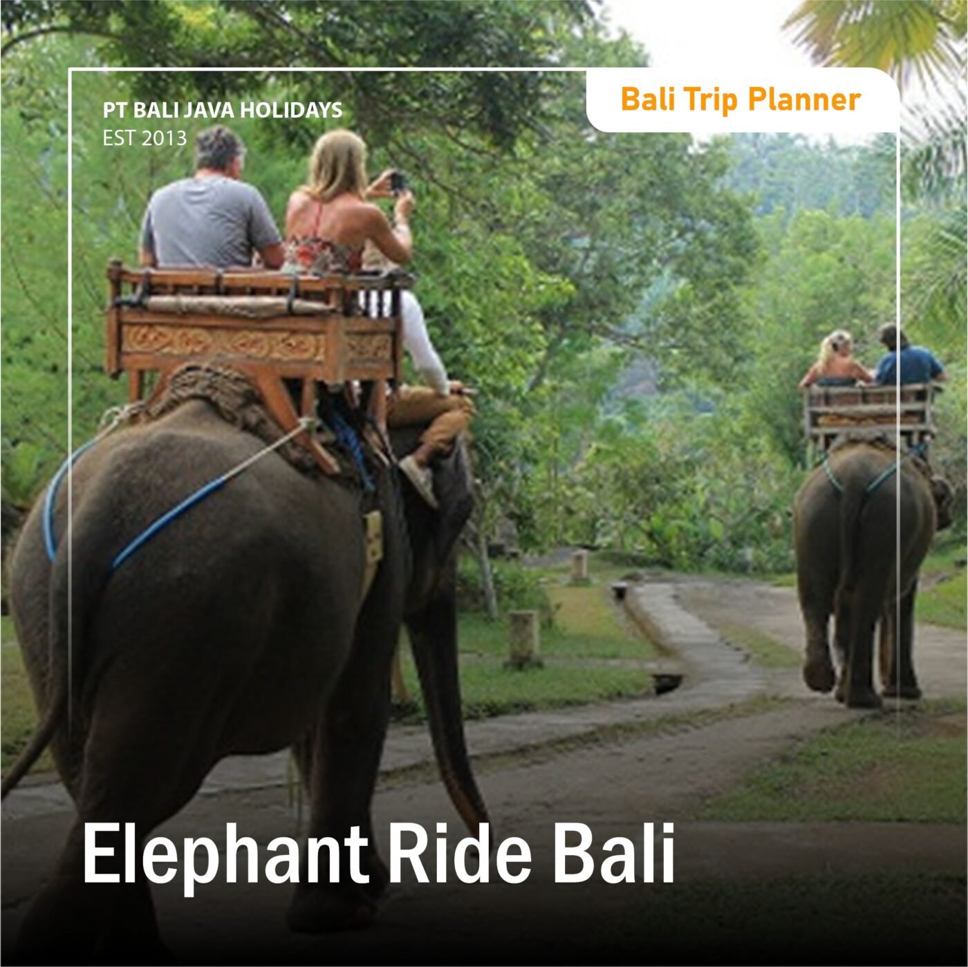 Elephant Ride Bali - Experience Bali With The Best Tour Packages From ...