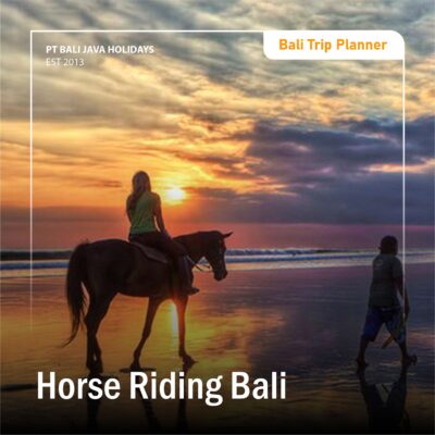 Horse Riding Bali