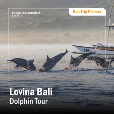 Lovina Bali Dolphin Tour