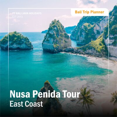 Nusa Penida Tour East Coast