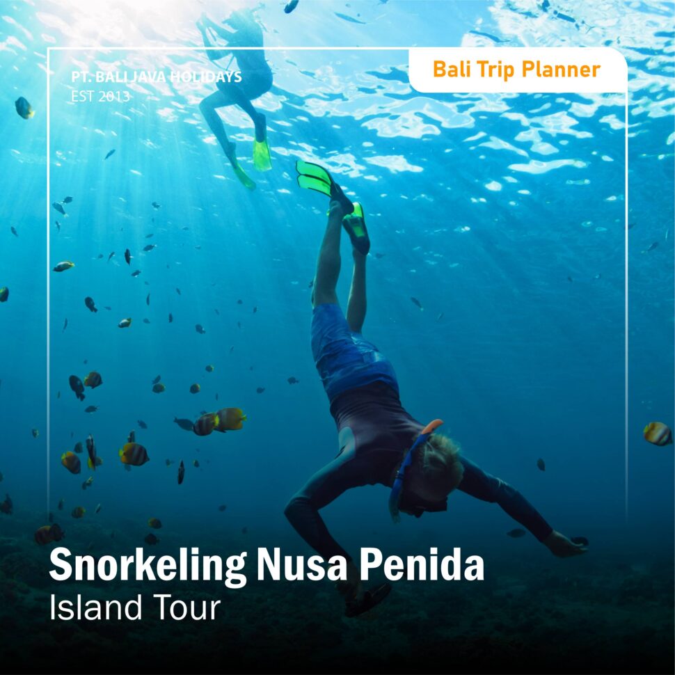 Snorkeling Nusa Penida Island Tour
