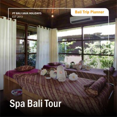 Spa Bali Tour