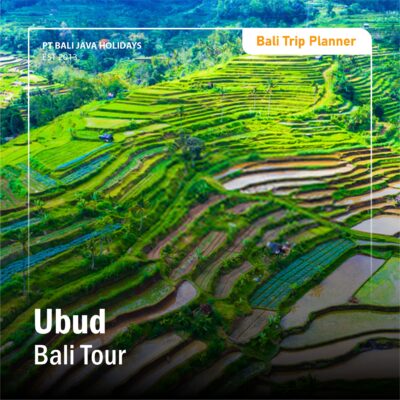Ubud Bali Tour