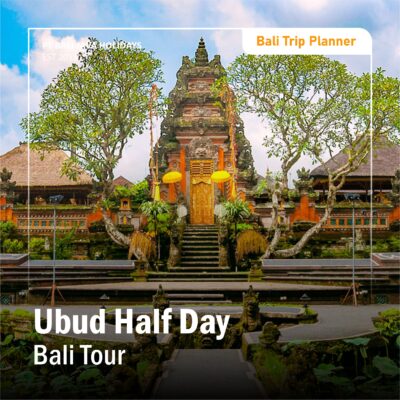 Ubud Half Day Bali Tour
