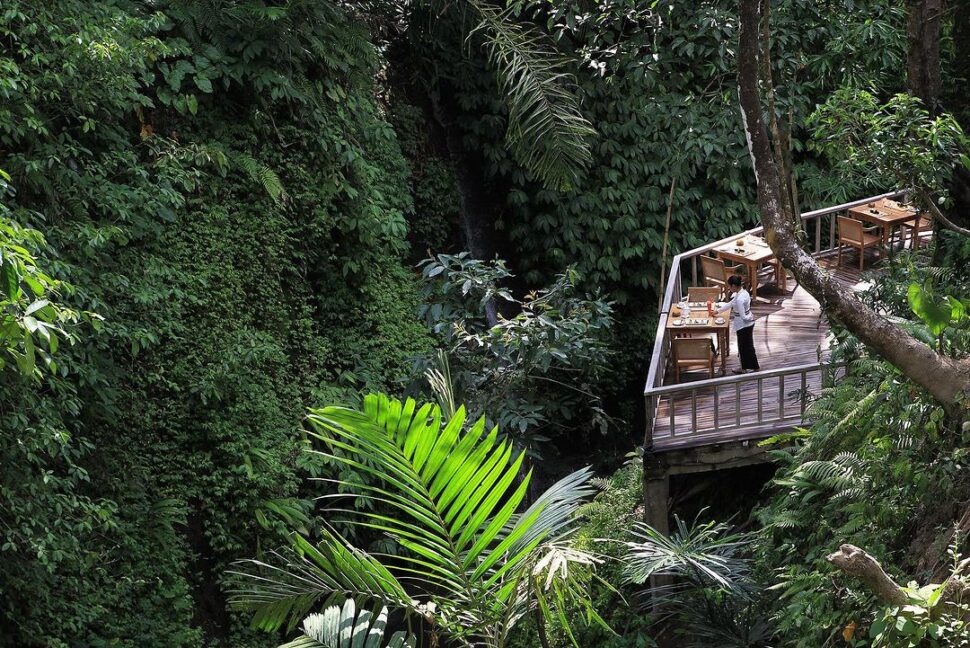 best hotels and resorts in Ubud 3