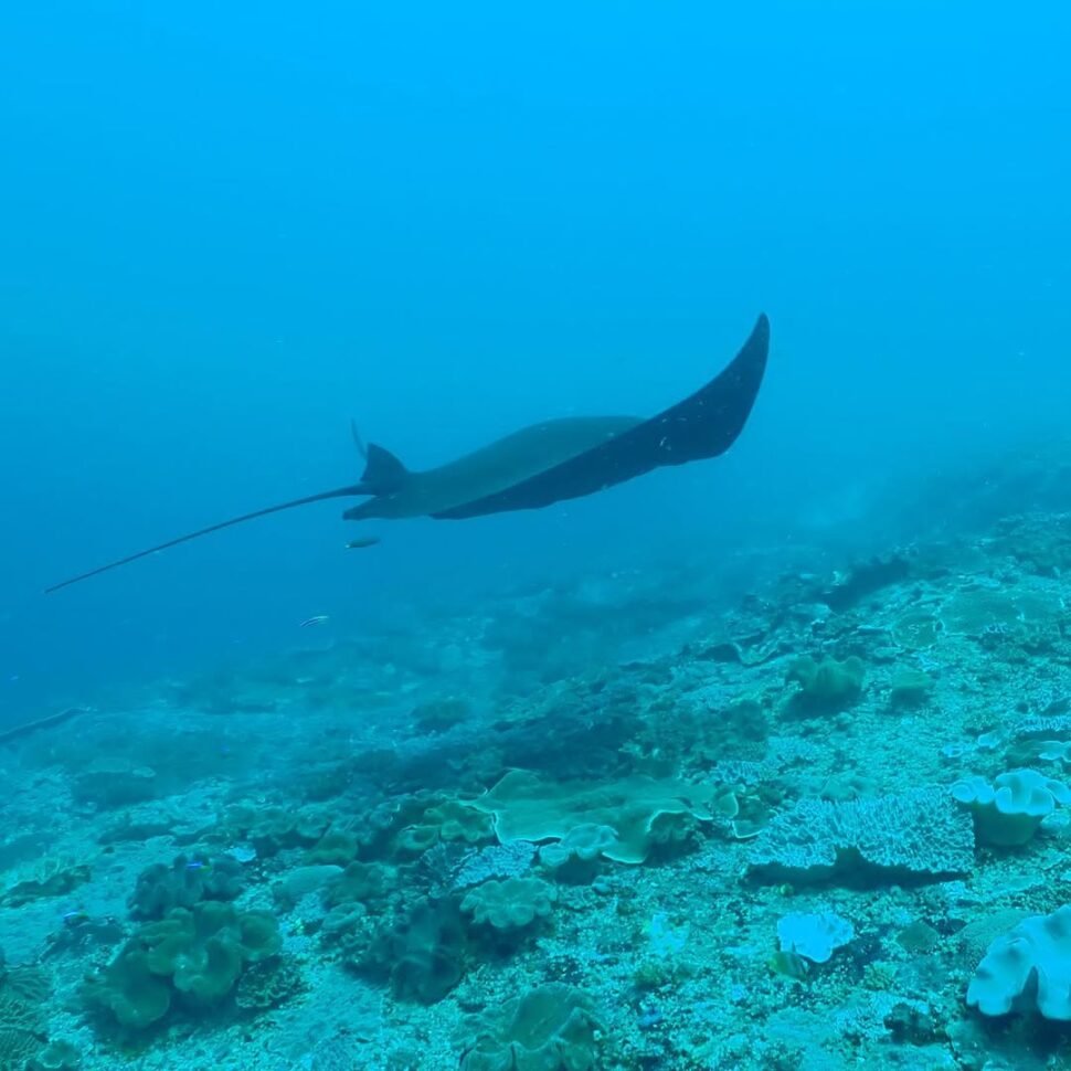 Bali itinerary 14 days 17 