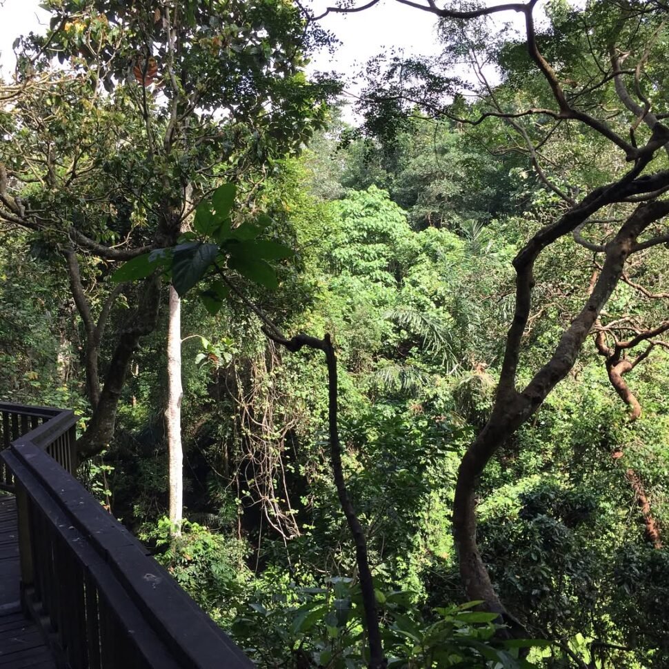 Bali itinerary 14 days 5 