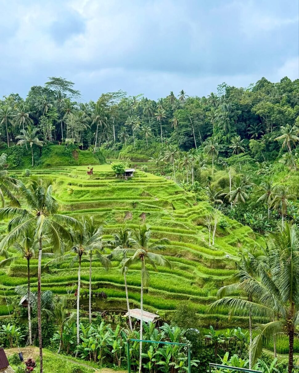 Bali itinerary 14 days 6 