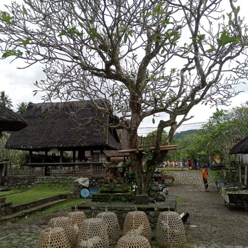 Bali itinerary 14 days 22
