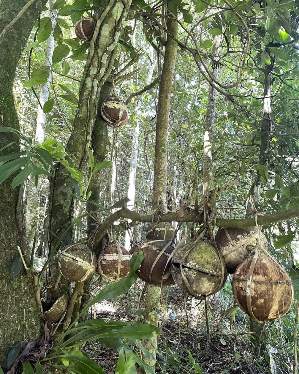 Bali itinerary 14 days 11