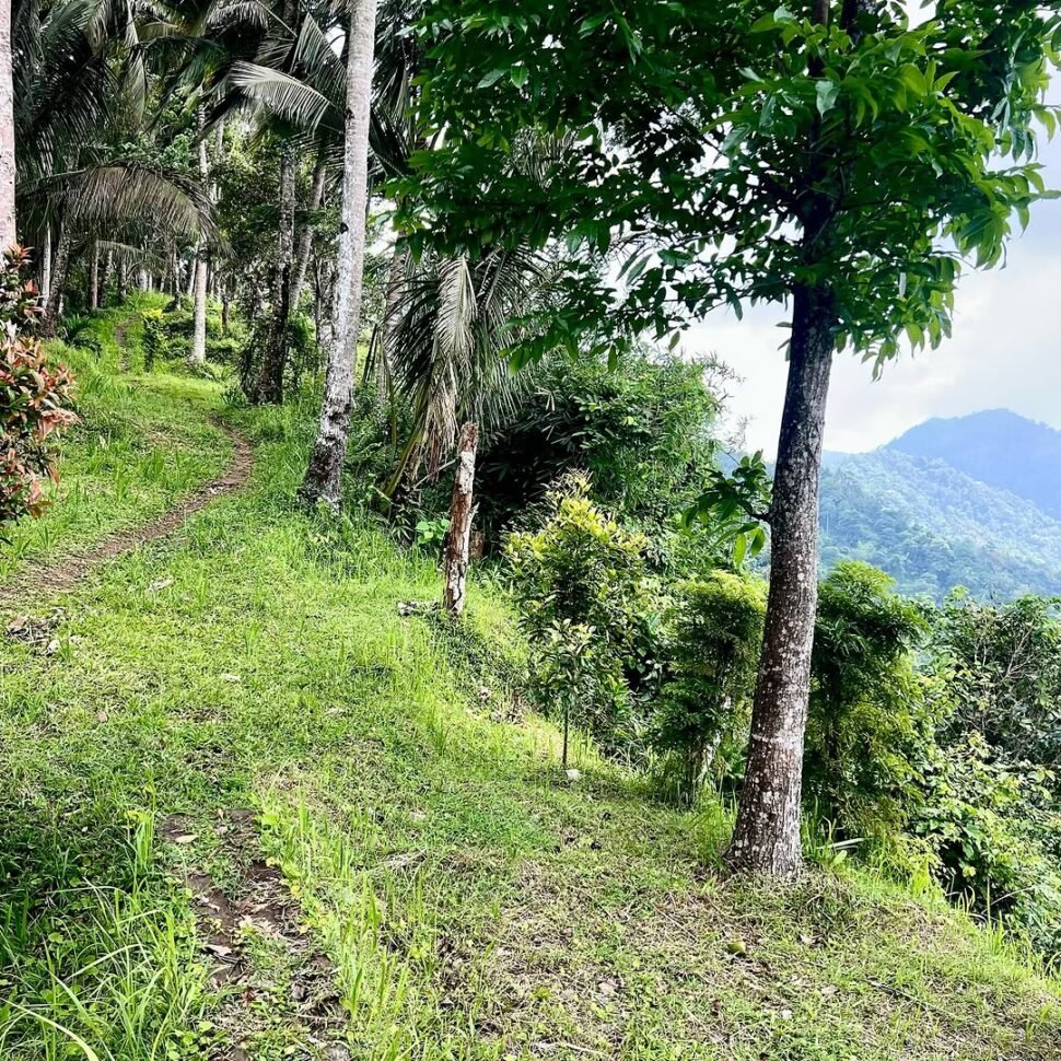 One of Hidden Hikes and Secret Trails in Bali