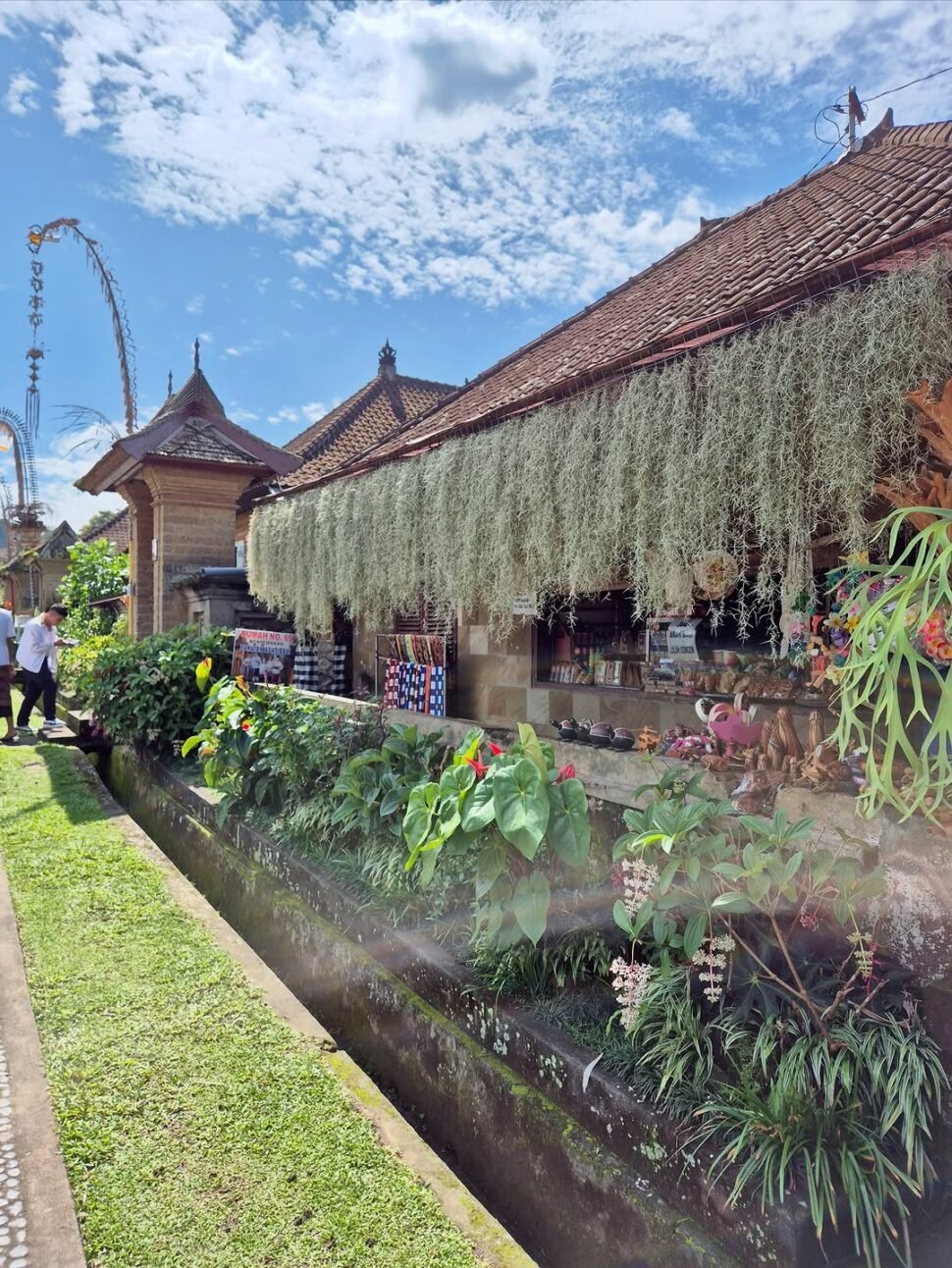 The Beauty of Penglipuran Bali