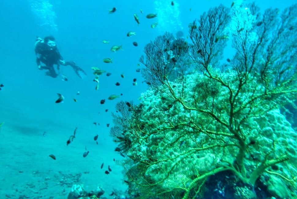 best time to visit Bali 7