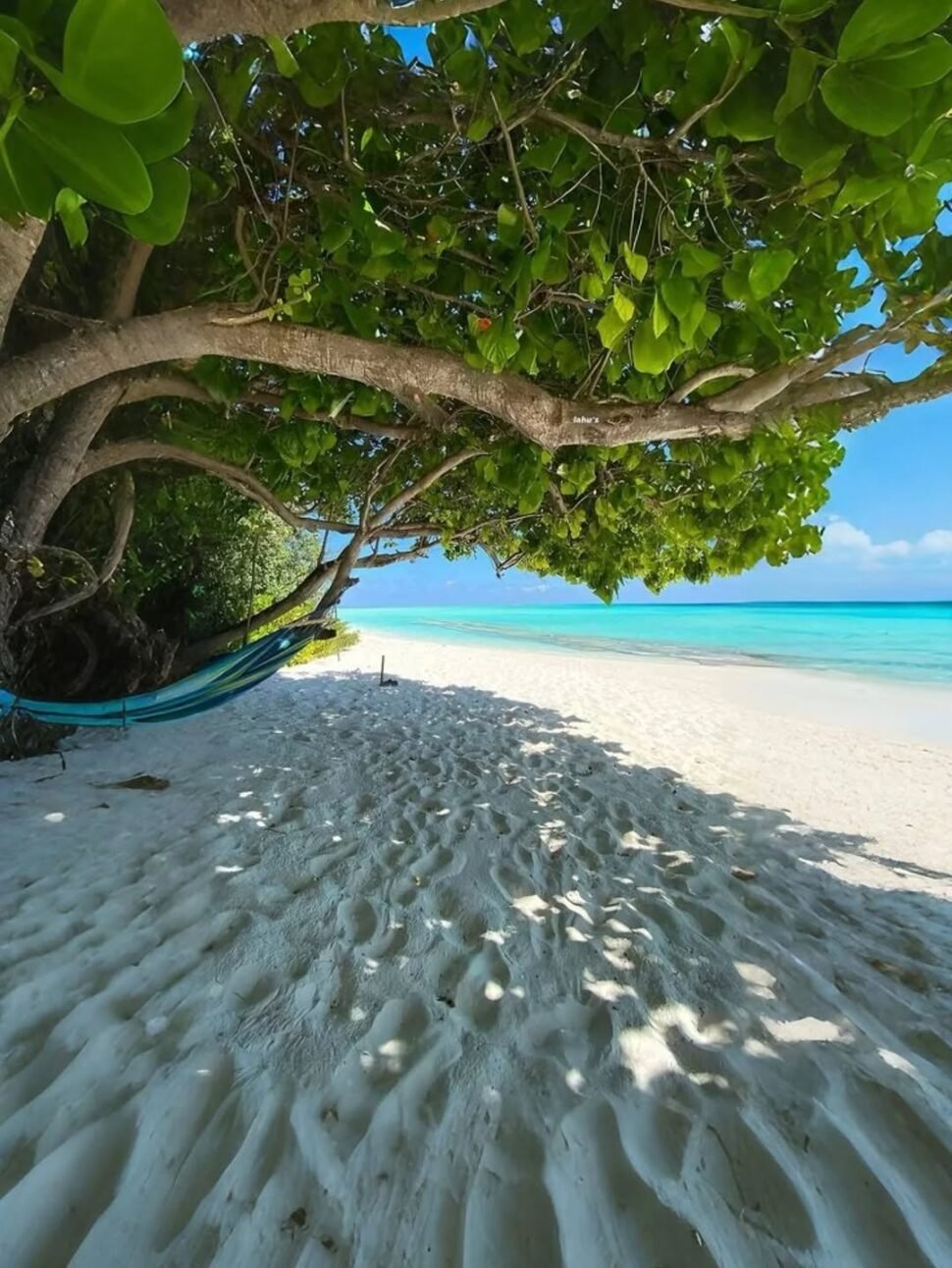 An activity in your family trip to Bali Lombok 18 days 17 nights